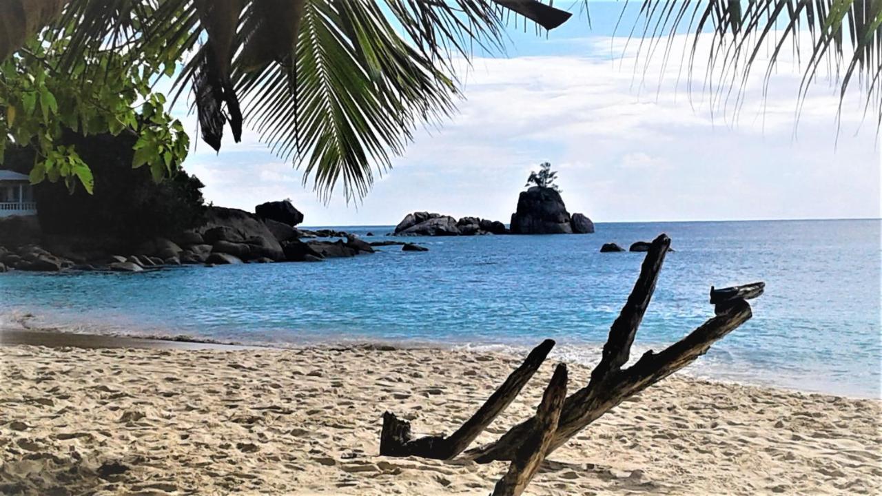 Seychelles Yellow Petals Anse Boileau 외부 사진