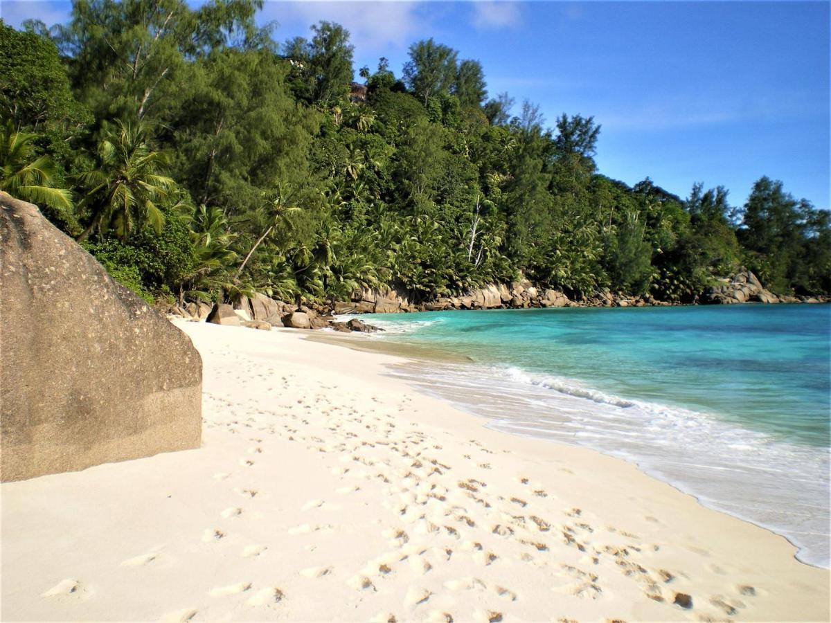 Seychelles Yellow Petals Anse Boileau 외부 사진