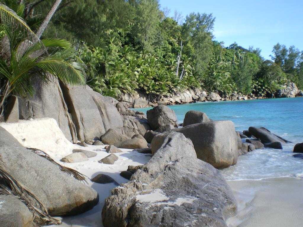 Seychelles Yellow Petals Anse Boileau 외부 사진