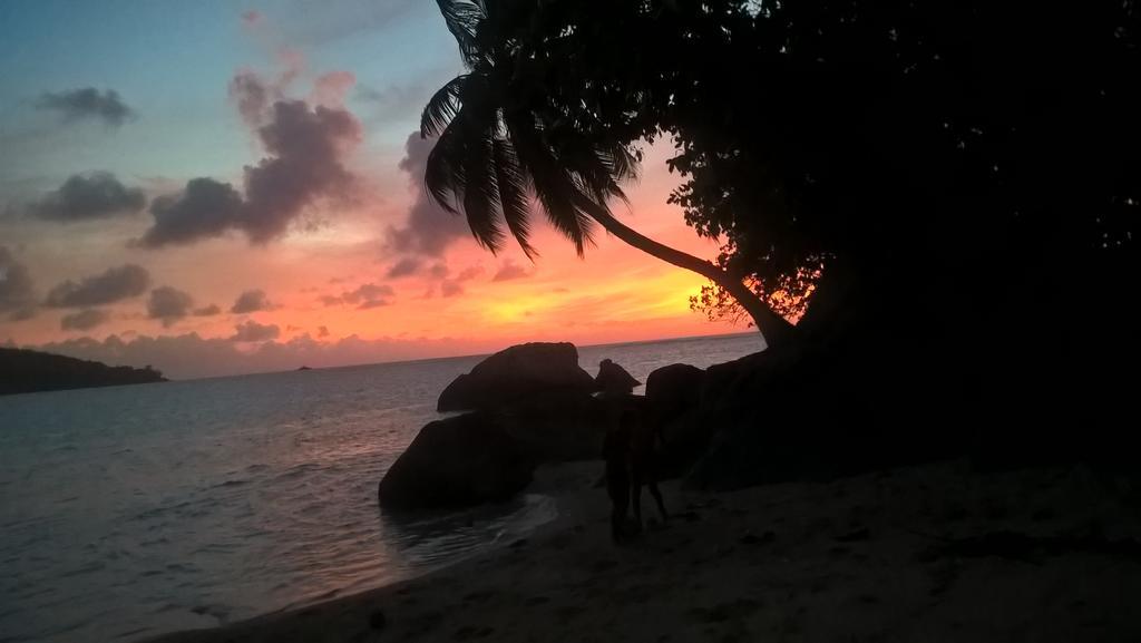 Seychelles Yellow Petals Anse Boileau 외부 사진