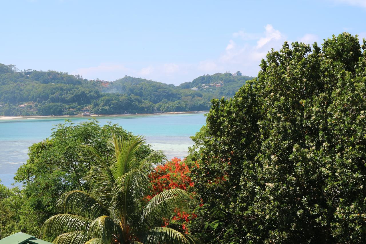 Seychelles Yellow Petals Anse Boileau 외부 사진